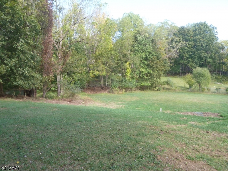 126 Us Highway 46 - Photo 3