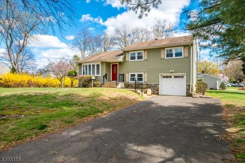 3 Douglas Rd, Green Brook Twp., NJ 08812 - MLS#: 3954401