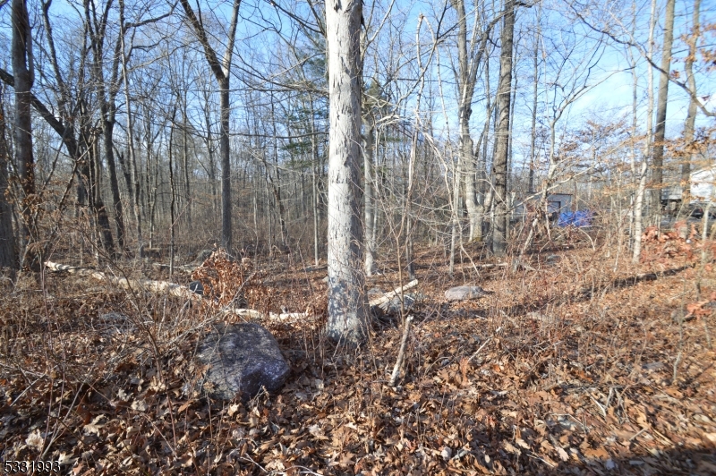 Level open lot to develop.. Survey available, private and serene area where you can build you home to suit.. buyer to do own due diligence to build your custom home!