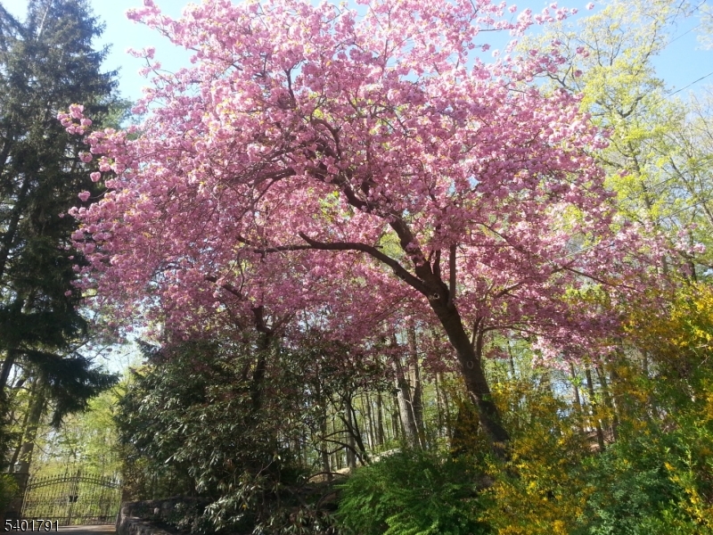 Smoke Rise Gated Community - Residential