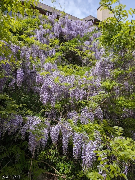 Smoke Rise Gated Community - Residential