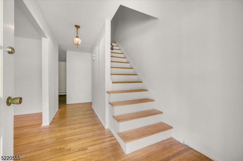 Beech Forest - Residential