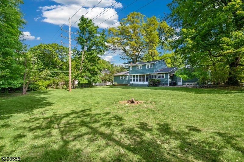 Beech Forest - Residential