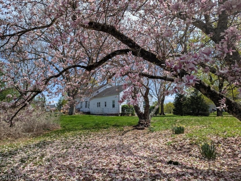 Town and Country - Residential