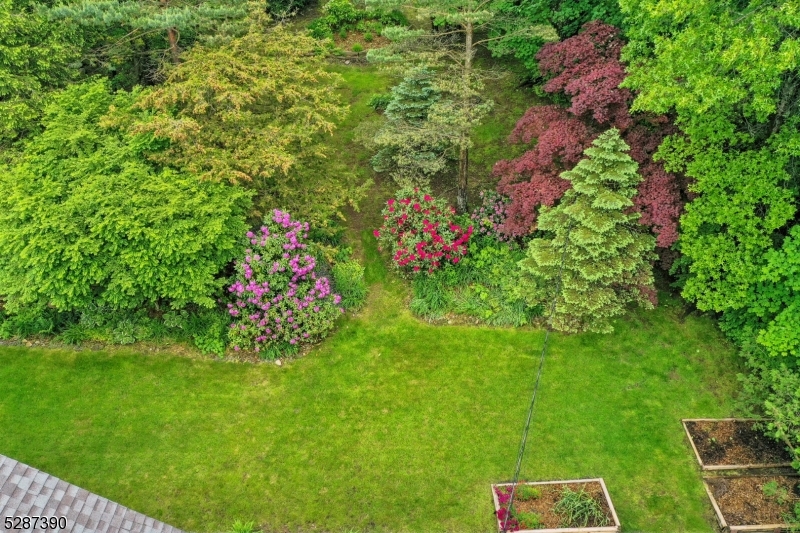 Deerfield - Residential