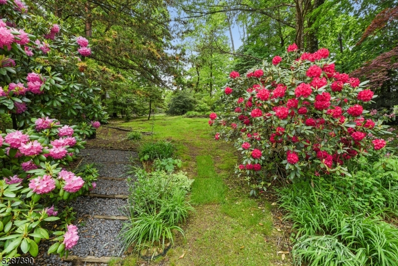 Deerfield - Residential