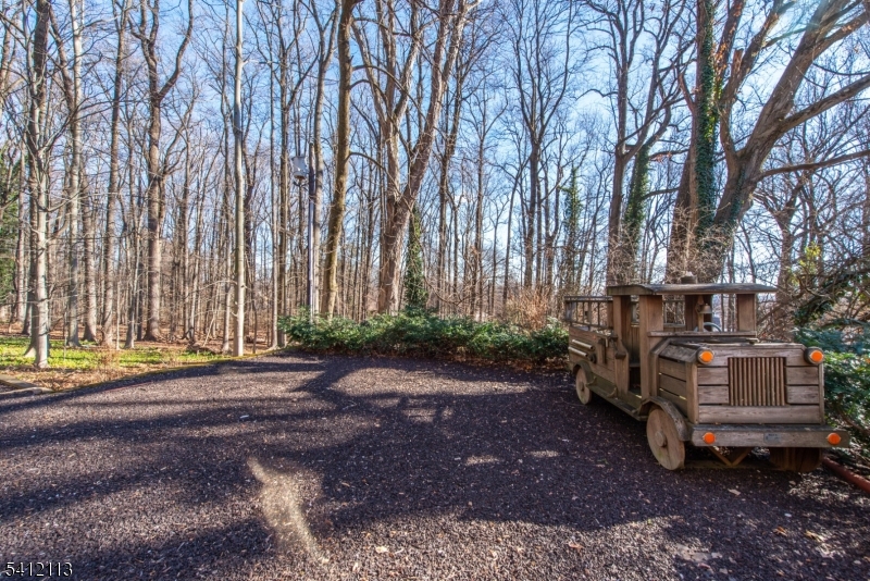 Llewellyn Park - Residential