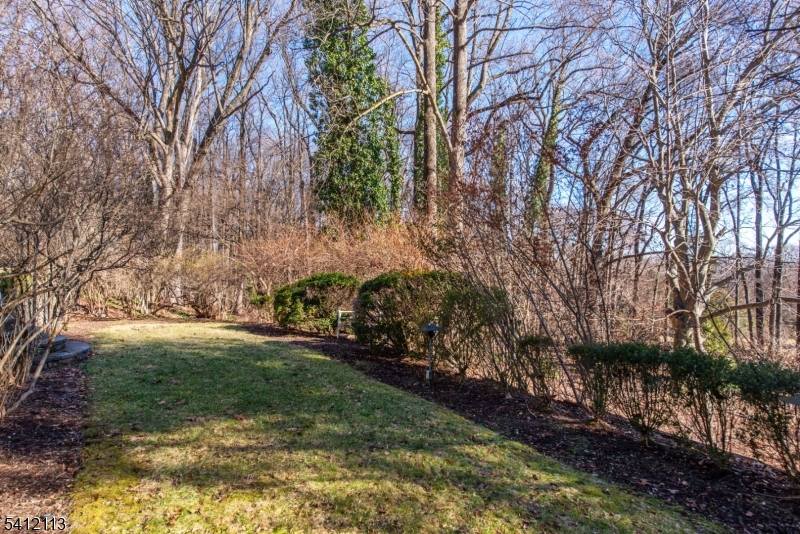 Llewellyn Park - Residential