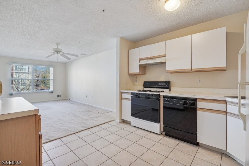 Village Pointe - Residential