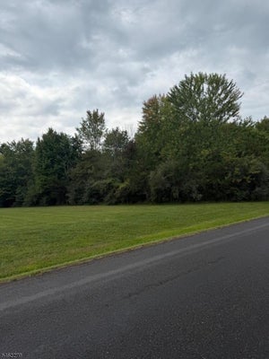104 BARBERTOWN POINT BREEZE RD, FRENCHTOWN, NJ 08825 - Image 21d80382d73ea4d7fc4ada4c0b403dfa/1796509452