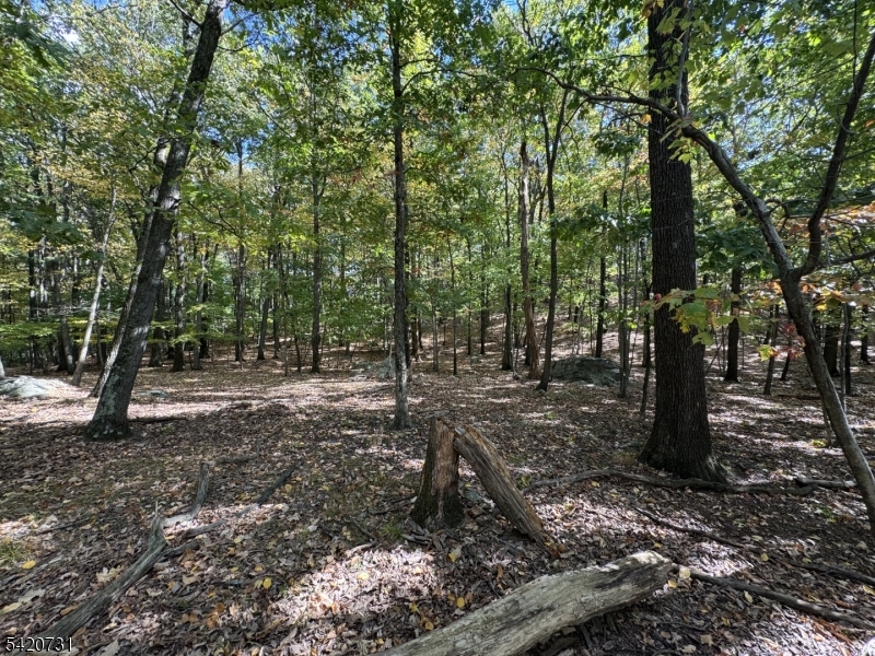 White Meadow Lake - Residential