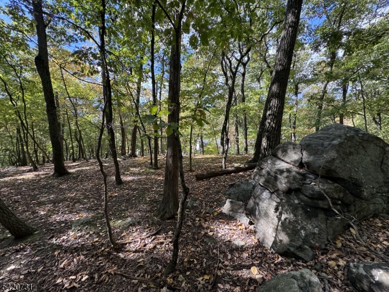 White Meadow Lake - Residential