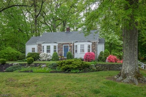 7 Woodland Ave Mountain Lakes Boro NJ 07046