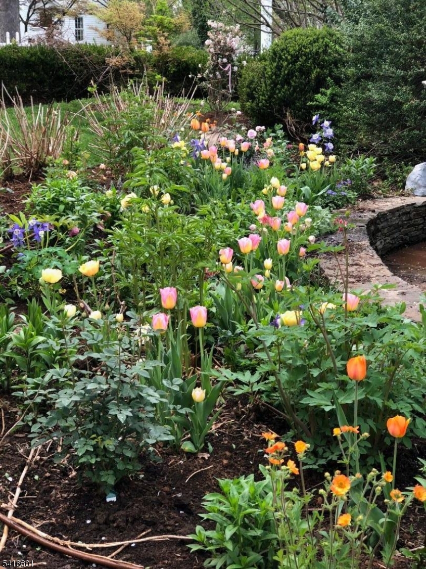 Basking Ridge village - Residential