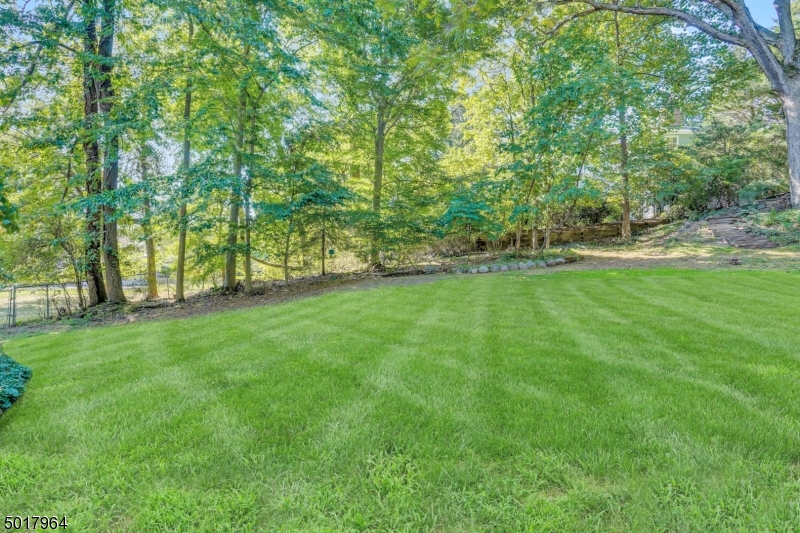 OLD SHORT HILLS - Residential