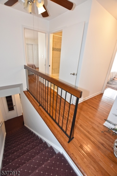 The Meadows - Residential