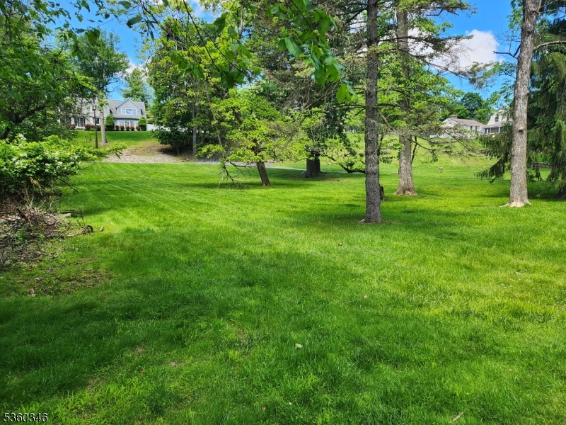 Peckman Preserve - Land