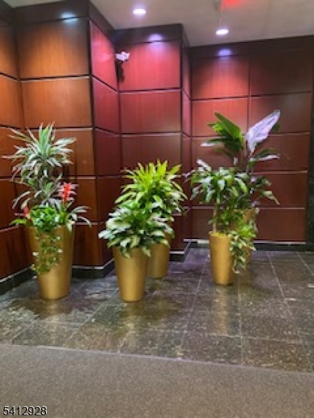 Royal Buckingham - Residential