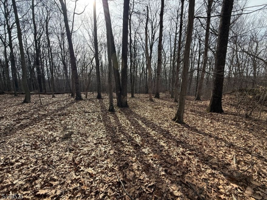 Prime 4+ acre homesite in desirable Chester Township offering a wonderful opportunity for builders and end-users alike. This property provides a beautiful setting for a custom home with ample space for outdoor living and future expansion. A unique advantage for builders?adjacent property at 164 is also available, creating the potential for a two-lot package or a small-scale development opportunity. Ideally located just minutes from Chester?s charming downtown, shopping, dining, and top-rated schools, with convenient access to major commuting routes.