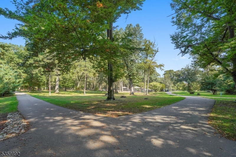 Upper Montclair - Residential