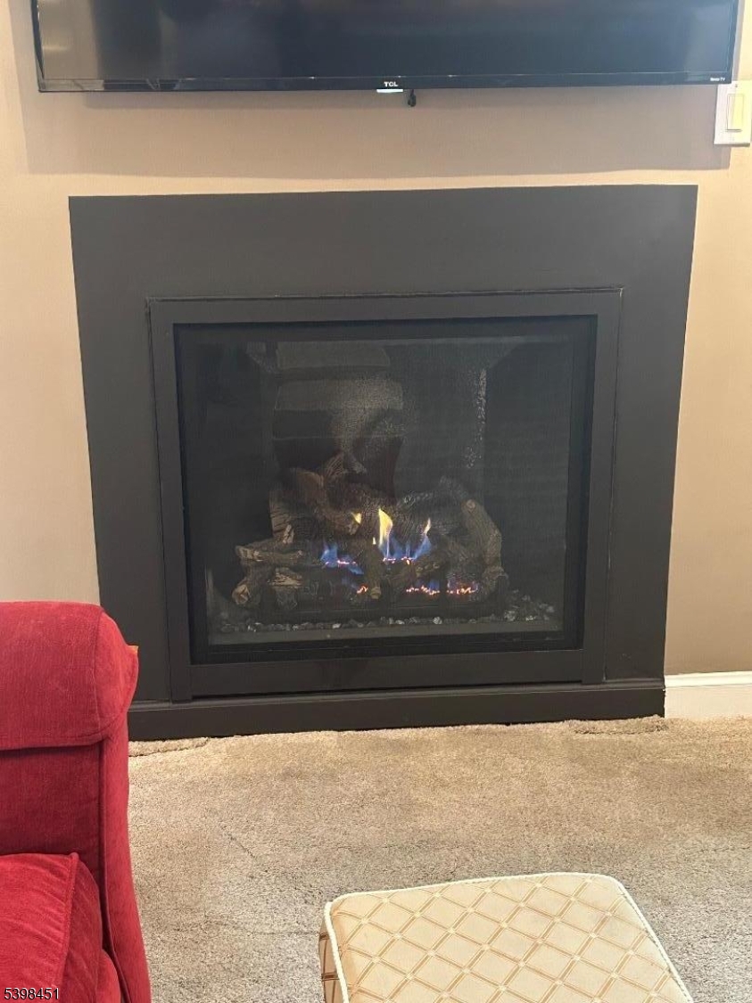 Ski in Ski out - Residential