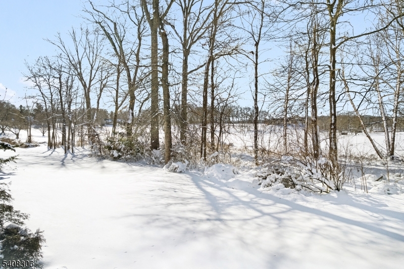 SpringBrook - Residential