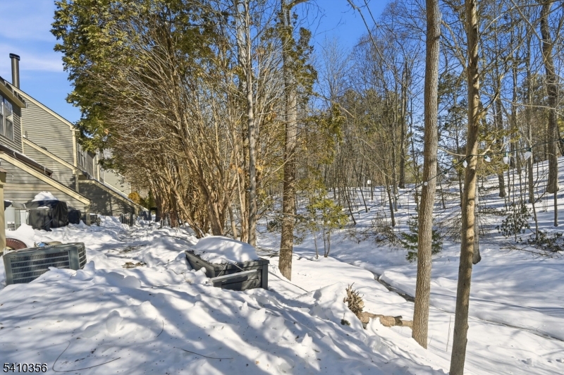 Bald Eagle Village - Residential