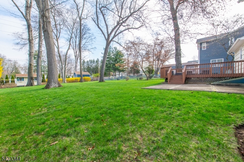 Forest Park - Residential