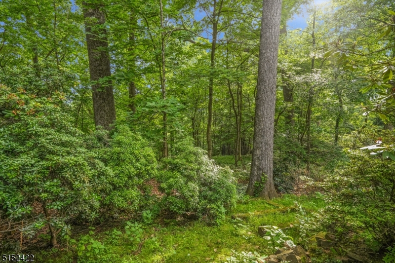 Franklin - Residential