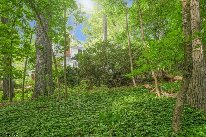 Franklin - Residential