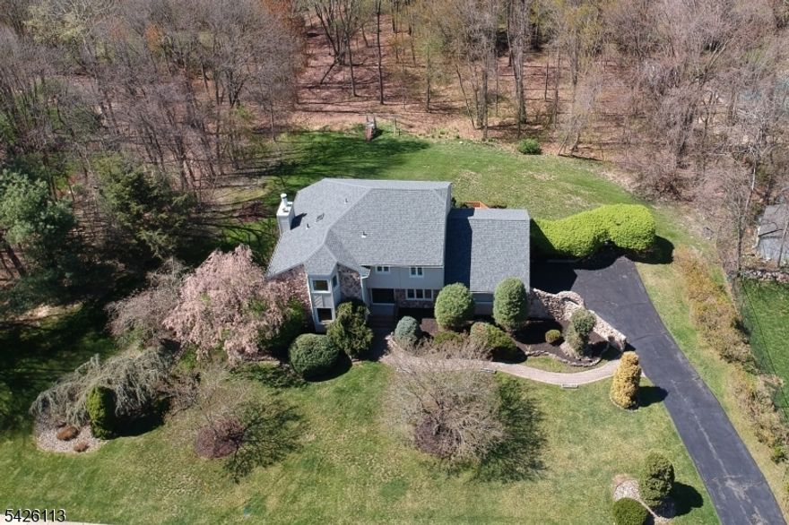 Great opportunity to create your dream home! This center hall colonial needs some updating but it sits on a .82 lot in a top Succasunna neighborhood. Oversized kitchen with Corian counters and tons of cabinet space. Large living room and family room with double sided fireplace facing each room. Hardwood floors in the living room, dining room, family room and 1 bedroom & under carpet in the other bedrooms. Large master suite with walk-in closet & huge bathroom plus sliders to a potential future balcony. Finished basement with rec room and den. Sliders from the kitchen and family room to the 2-tiered rear deck overlooking the huge, private backyard. Whole house natural gas generator included. Conveniently located within minutes of shopping, dining, schools, Routes 10, 80, 46 & 80 plus the Mount Arlington Train Station. Only minutes from Horseshoe Lake beach and recreation complex.