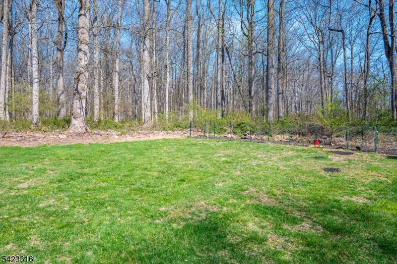 Princeton Ridings - Residential