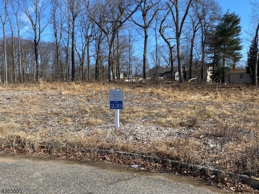 MULTI MILLION DOLLAR NEIGHBORHOOD,END OF CUL-DE-SAC STREET,UNDER CONSTRUCTION  IN LIVINGSTON PRIZED "BEL AIR WOODS" 5550 SQ.FT.HOME  5 BEDROOMS AND 41/2 BATHS.PLUS 2525 SQ.FT.  FINISH BASEMENT AND POOL INCLUDED  ! WILL TAKE YOUR BREATH AWAY OPEN FLOOR PLAN ,CLEINTS CAN PUT THEIER INPUT IN CHOOSING THE KITCHEN,TILES ,HARDWOOD FLOORS THROUGHOUT TO THEIER OWN TASTE.3 OVERSIZED CAR GARAGES,DOUBLE STORY FOYER  ,FLOOR TO CEILING PELLA WINDOWS,10 CEILING ON FIRST FL AND 9 ON 2ND FL.FAB CHEFS KITCHEN W/CENTER ISLAND HUGE DINETTE,2 SINKS,DISHWASHER,INCREDIBLE MILLWORK.AU PAIR IN LAW SUITES ON 1 ST FL.FAB MASTER SUIT W/SUMPTUOUS BATH,FREE STANDING TUB,STALL SHOWER WITH .HIS AND HERS CLOSETS, 20 FT HIGH  CEILING IN  GREAT ROOM WITH GAS FIREPLACE,,OPTIONAL RADIANT HEAT FL. ,APPR 20 MILES FROM NYC.