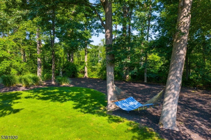 Independence Hill - Residential