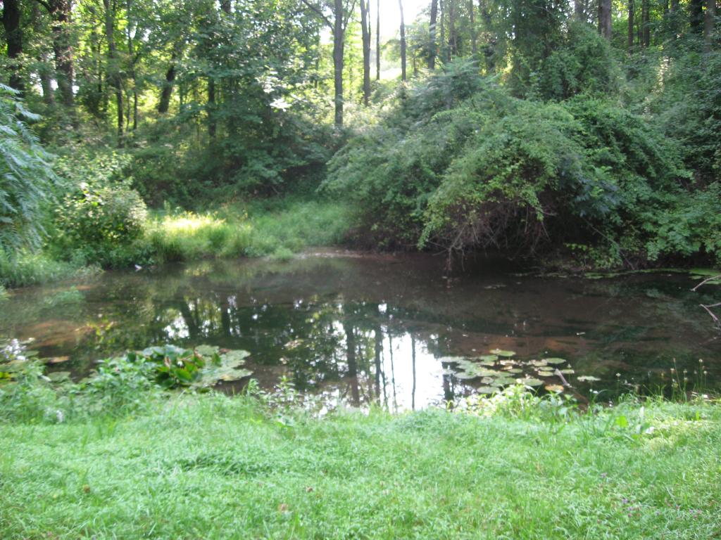 Society Hill - Residential Lease