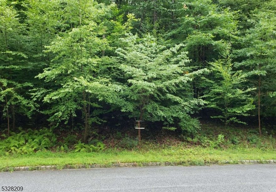 6.353 ACRE Approved Single Family Building Lot. Why spend over $1.0 Mil for a house that does not match your wish list when you can BUILD YOUR DREAM HOME!!! SETTLERS RIDGE is a small subdivision of 9 lots nestled on a private cul de sac in the backdrop of Point Mountain Reservation in Washington Twp., Morris County, NJ...FABULOUS LOCATION offers PRIVACY PLUS CONVENIENCE and HIGHLY RATED SCHOOLS including West Morris Central HS.., convenient to shopping, dining and highways. Living in Long Valley you can enjoy fresh air, golfing plus hiking, biking and fishing at Hacklebarney State Park. Lot 53.07 is 6.35 acres (at 5 Settler's Ridge) offered at $209,000. Yes, you really can have the home of your dreams when you build your custom home in Settlers Ridge at Long Valley! Ideal for a Builder or Developer !