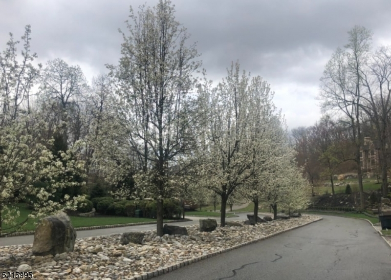 Estates at Valhalla - Land