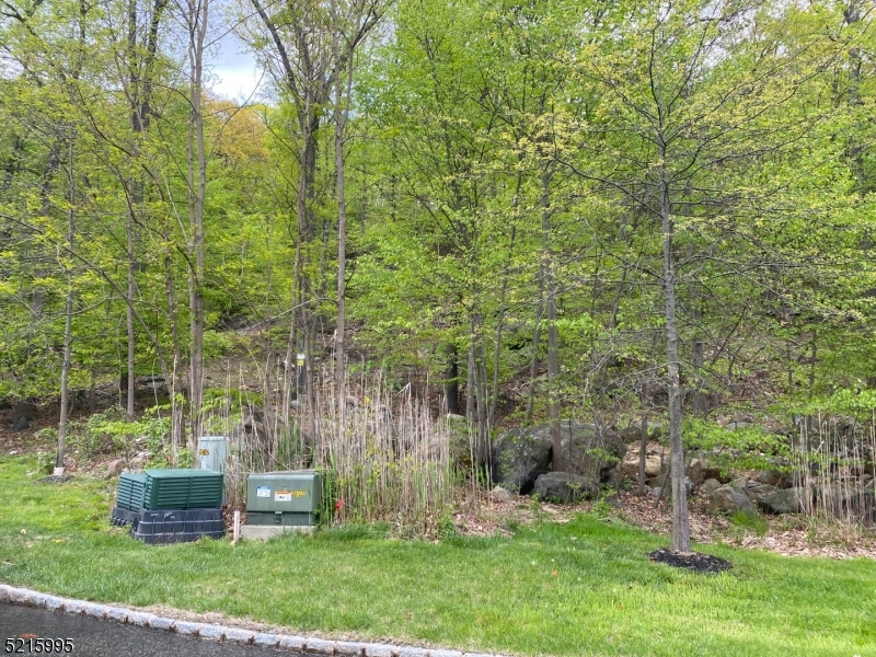 Estates at Valhalla - Land