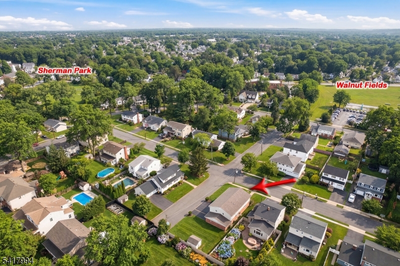 WALNUT/LIVINGSTON - Residential