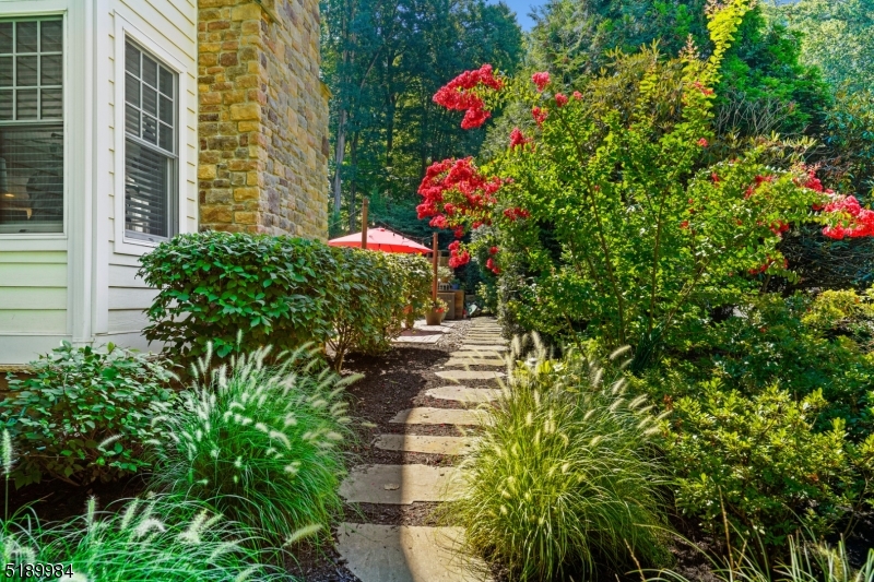 Spring Brook - Residential