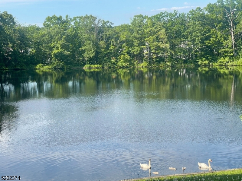 Rainbow Lakes - Residential Lease