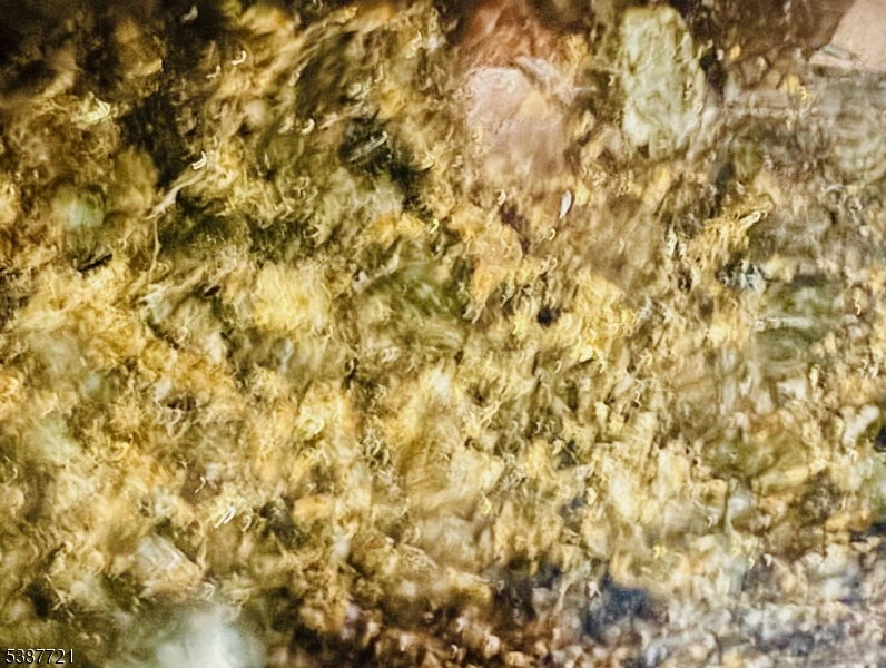 One Spring - Residential Lease