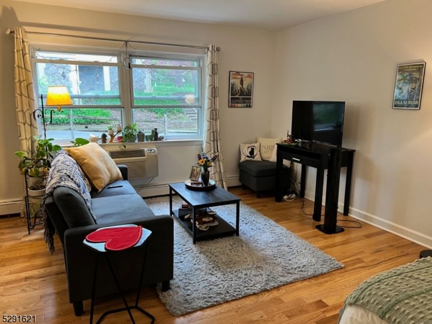 Cozy and renovated studio apartment in Prime Location! Hardwood floors, Kitchen with quartz countertops and tile backsplash. Large step in shower with new tile. One block from Mid Town direct train and thriving down town Morristown. Off street parking for the building and coin laundry located on ground level of building.