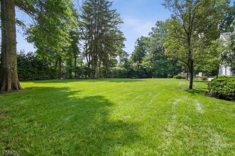 Rolling Hill - Residential