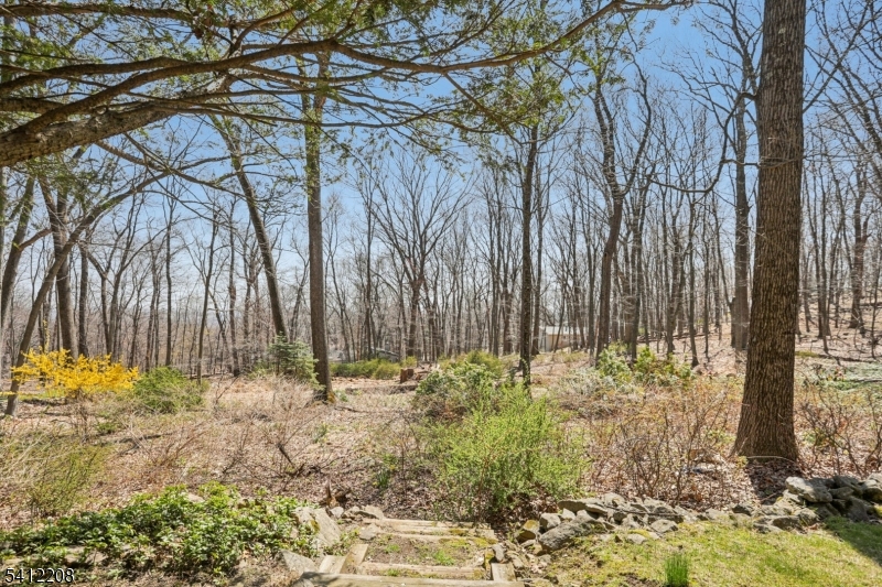 Puddingstone Heights - Residential