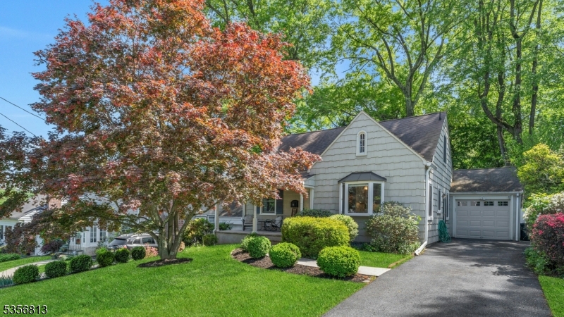 9 Elmwood Ave