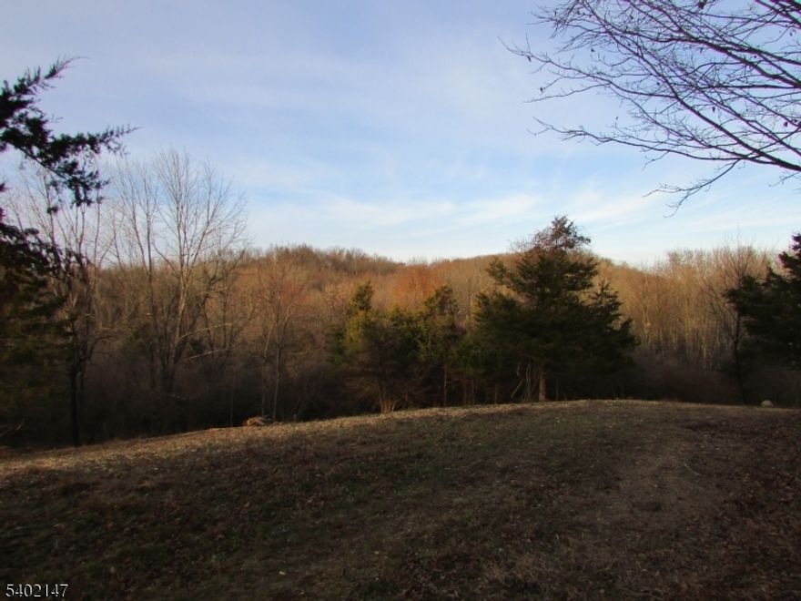 Build the home of your dreams or a weekend getaway on this 11+ acre lot in scenic Wantage Township, Sussex County. Tucked away, yet conveniently located to all major roadways, this property slopes gently uphill from the road with plenty of trees and shrubs, making this an ideal building site if you're looking for privacy. May be possible to further subdivide (subject to township approval), or apply for farmland assessment. Walk the paths on this property to appreciate the peaceful setting, mountain views, and sunsets. Enjoy all that Sussex County has to offer including beautiful scenery, nearby hiking trails, skiing, State parks, restaurants, antique shops, and spas. Boundary line survey is available. Approved perc (expired).