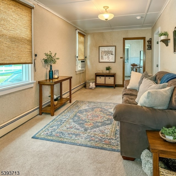 Budd Lake - Residential