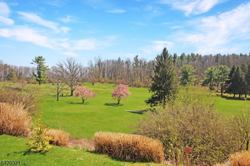 Panther Valley - Residential
