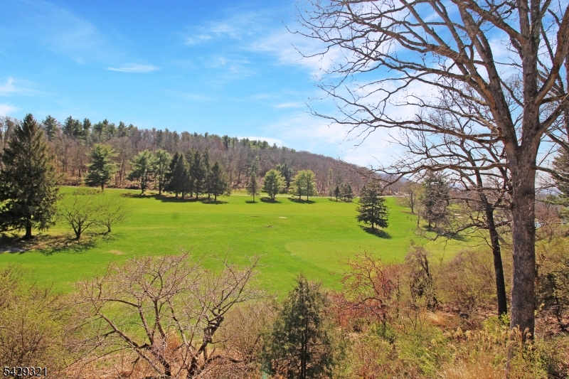 Panther Valley - Residential